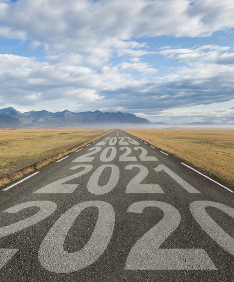 The top 10 Juno Journal posts of 2020